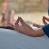 Insight Meditation and Pranayama